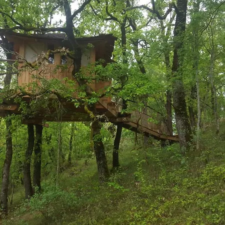 Bed & Breakfast Dans Les Arbres - La Pagode Mechmont